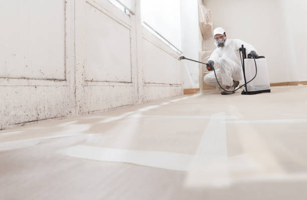 24/7 Emergency Attic Mold Removal experts in Mears, VA