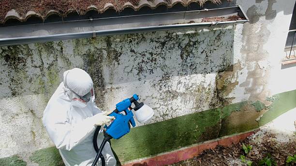 Trusted Mold Inspection service in Mears, VA - Cheap Mold Removal